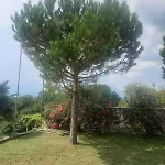 Sigerico Daire Ivrea