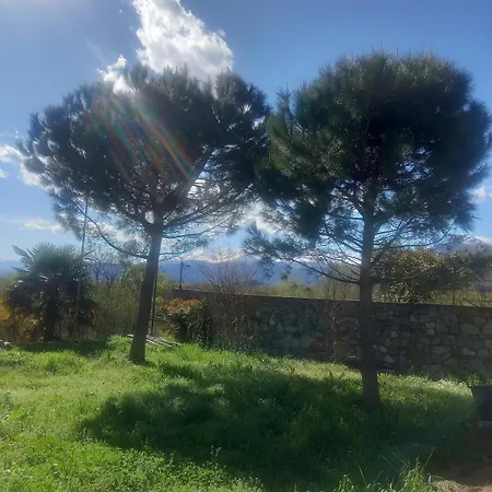 Sigerico