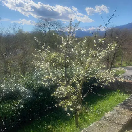 Διαμέρισμα Sigerico Burolo