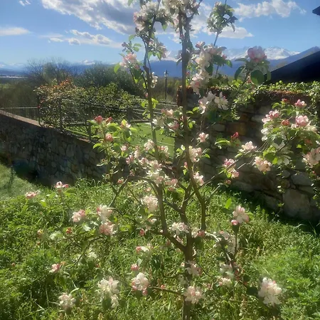 アパート Sigerico Burolo