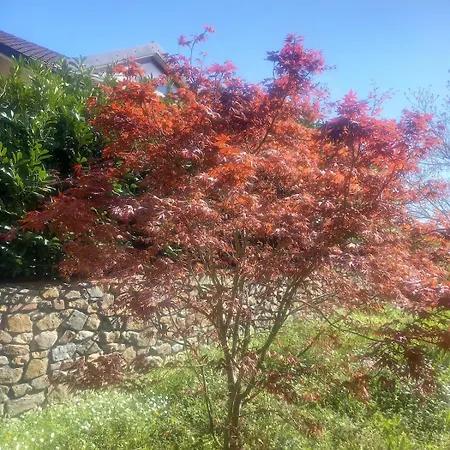 Διαμέρισμα Sigerico *