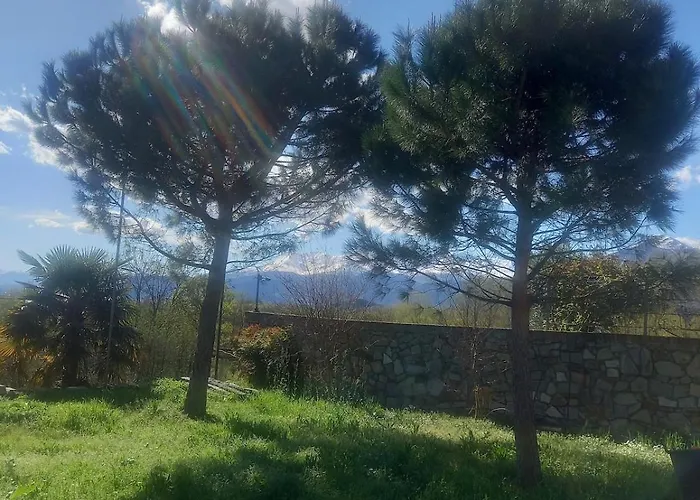 Sigerico