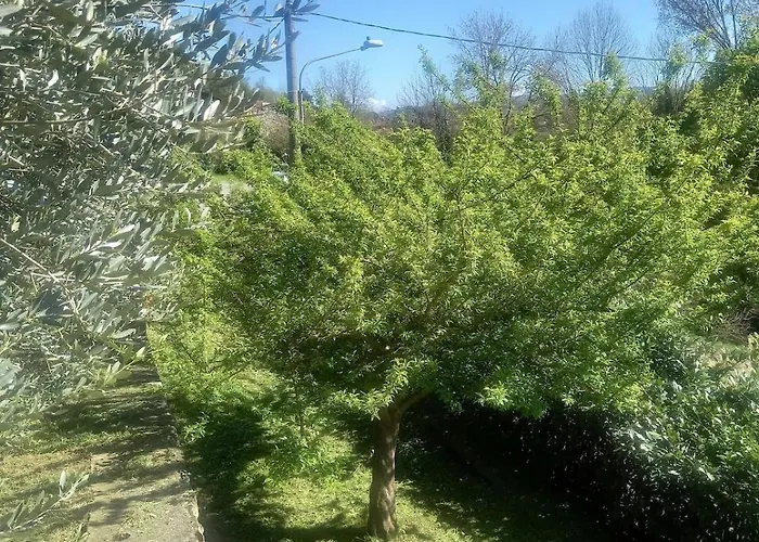 アパート Sigerico