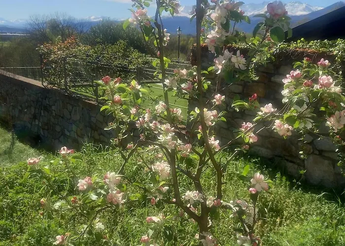 Apartment Sigerico Ivrea